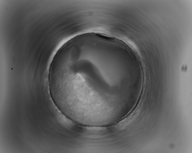 X0000102841200200808181340