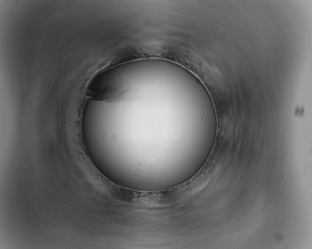 X0000102841201200808181340