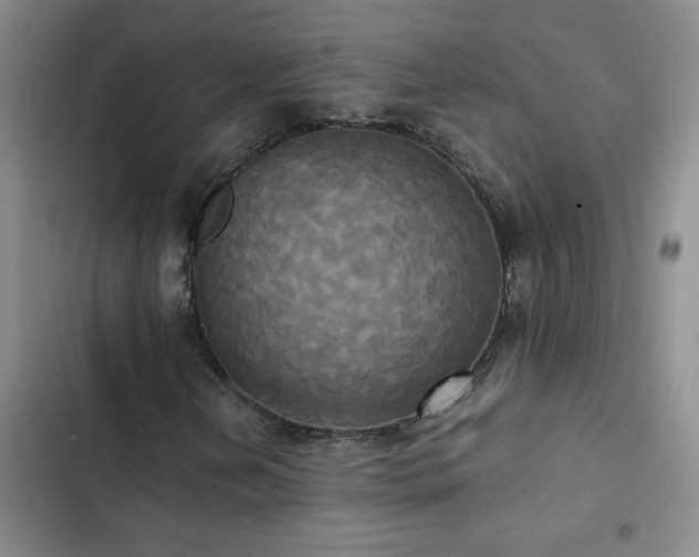 X0000102841202200808181340