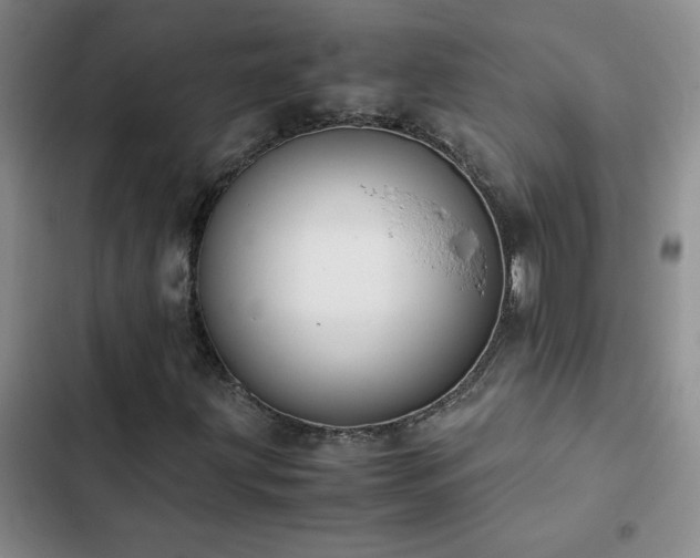 X0000102841203200808181340