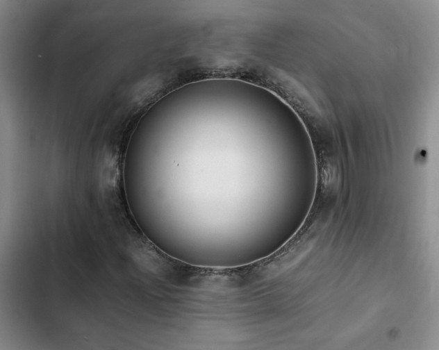 X0000102841204200808181340