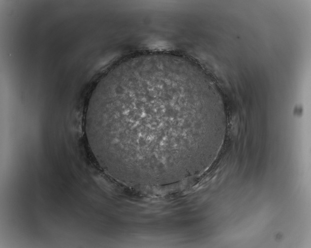 X0000102841205200808181340