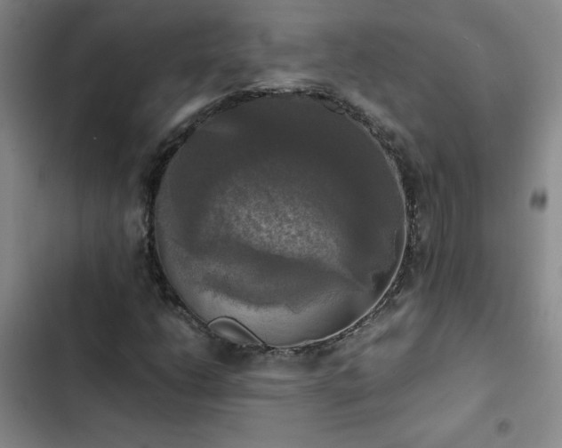 X0000102841206200808181340