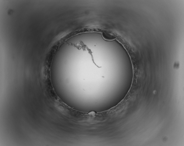 X0000102841207200808181340