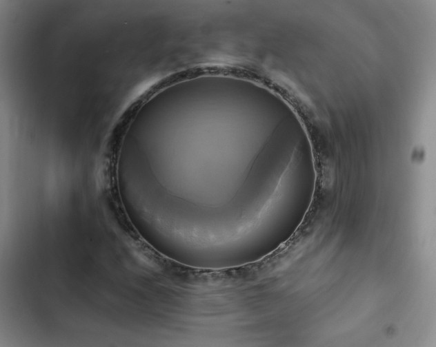 X0000102841208200808181340