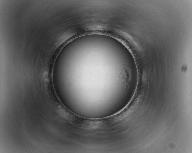 X0000102841209200808181340