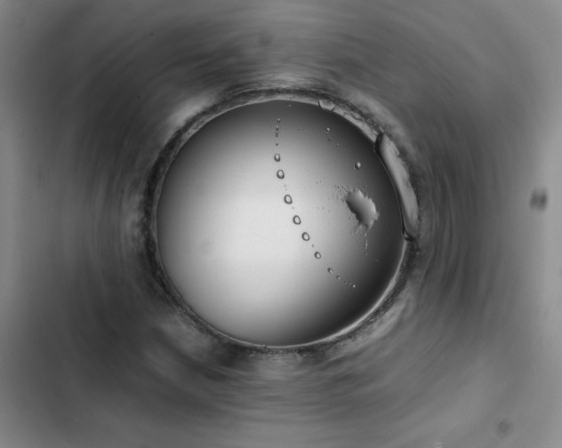 X0000102841210200808181340