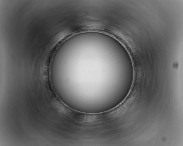 X0000102841211200808181340