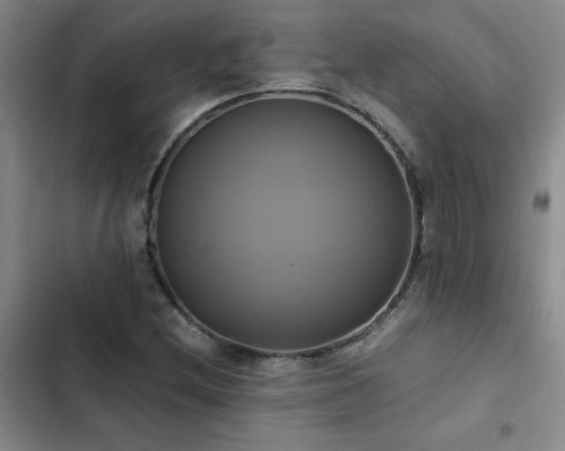 X0000102841212200808181340