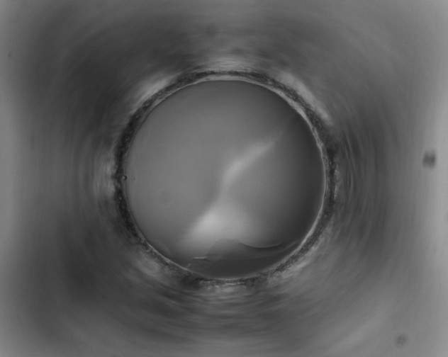 X0000102841213200808181340