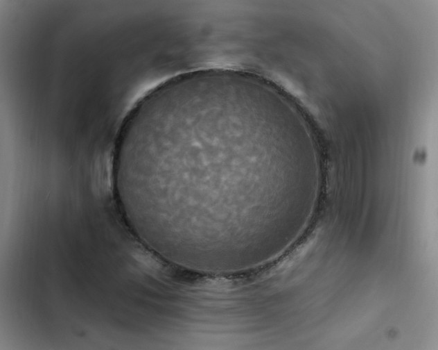 X0000102841214200808181340