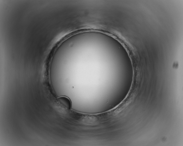 X0000102841215200808181340