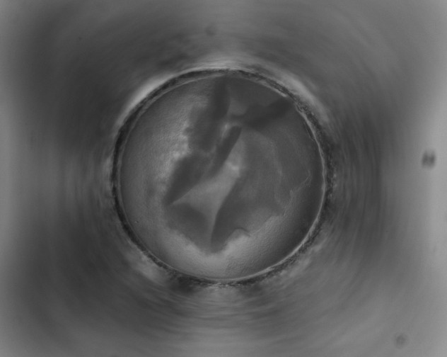 X0000102841216200808181340