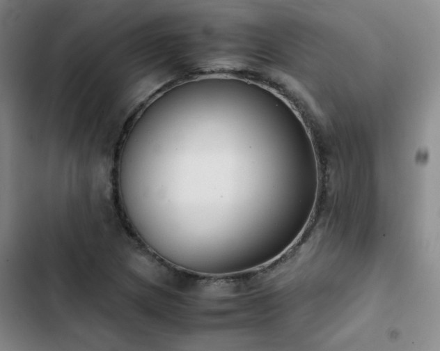 X0000102841217200808181340
