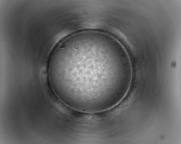 X0000102841218200808181340