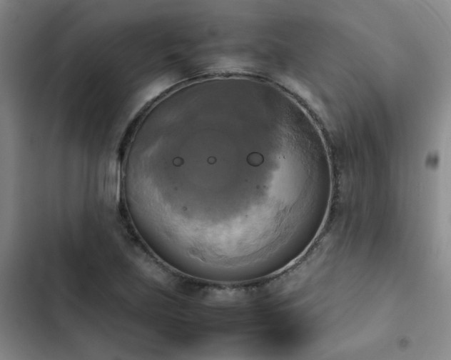 X0000102841219200808181340