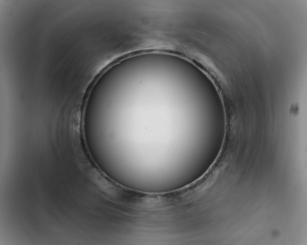 X0000102841220200808181340