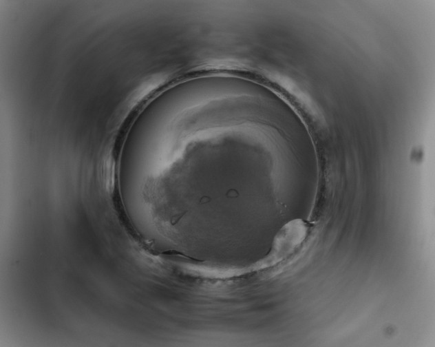 X0000102841221200808181340