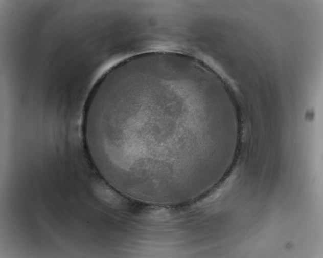 X0000102841222200808181340