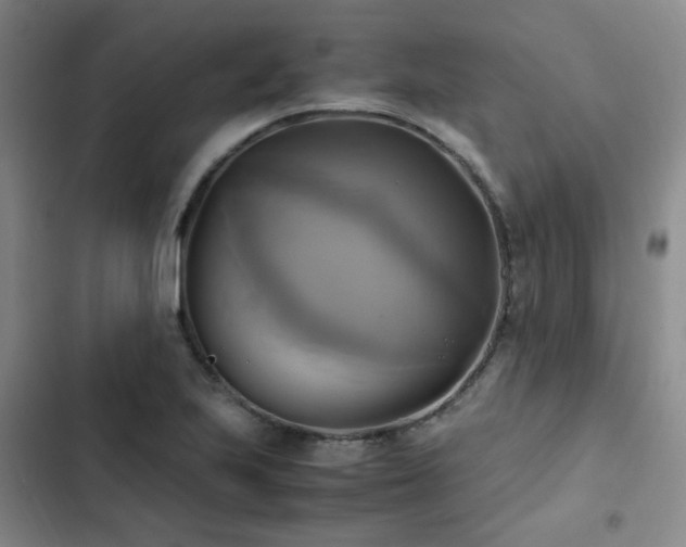 X0000102841223200808181340