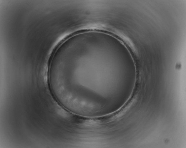 X0000102841224200808181340