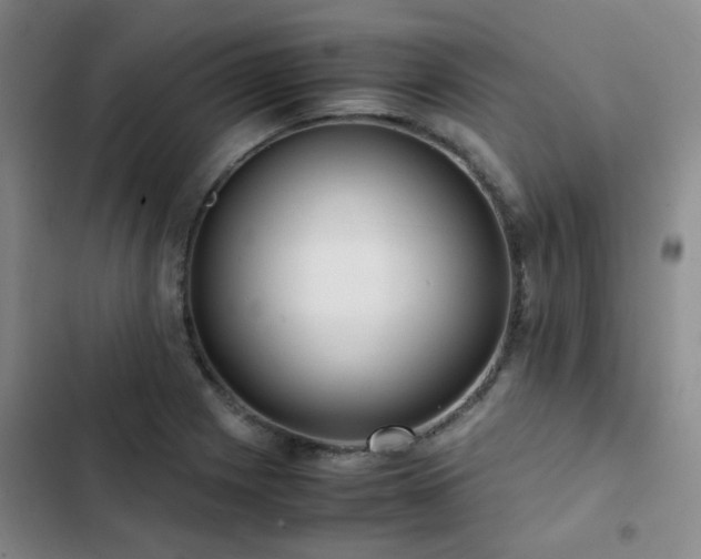 X0000102841225200808181340