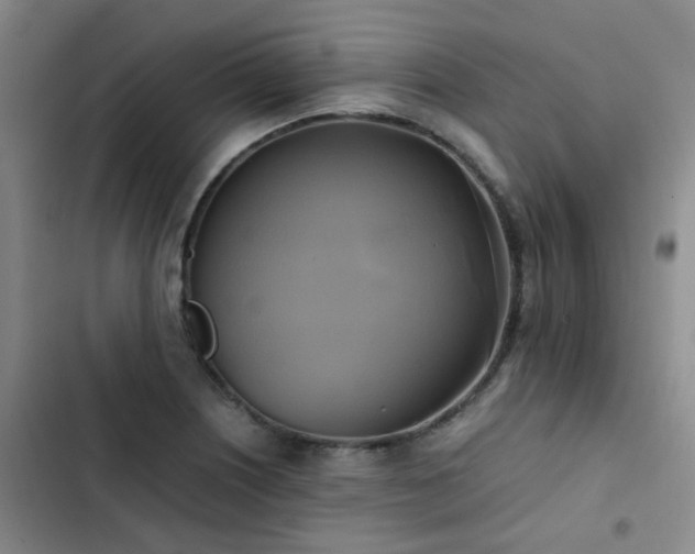 X0000102841226200808181340