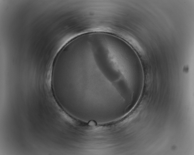X0000102841228200808181340