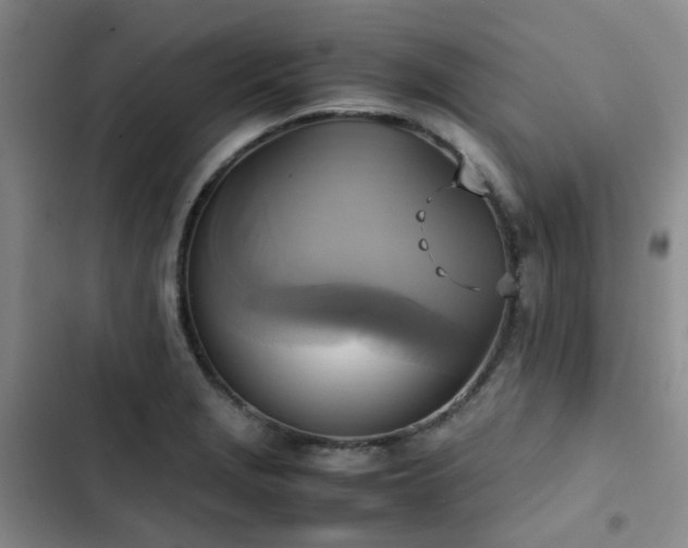 X0000102841229200808181340