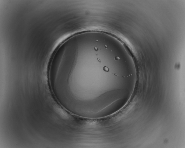X0000102841230200808181340