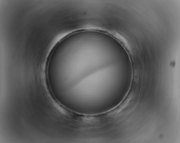X0000102841231200808181340