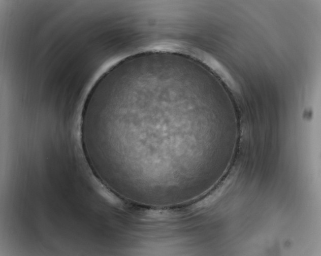 X0000102841232200808181340