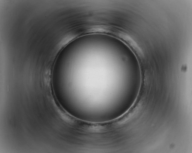 X0000102841233200808181340