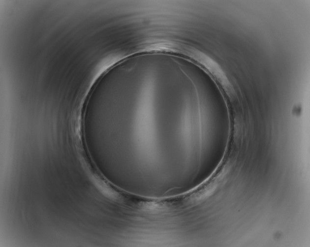 X0000102841234200808181340