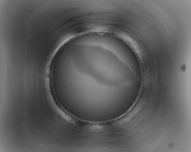 X0000102841235200808181340