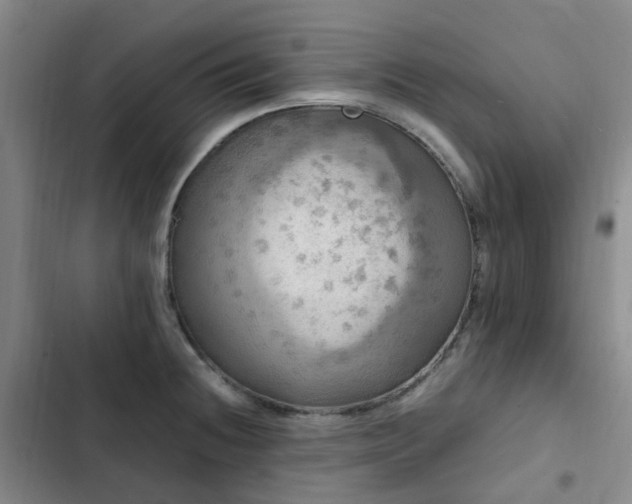 X0000102841236200808181340