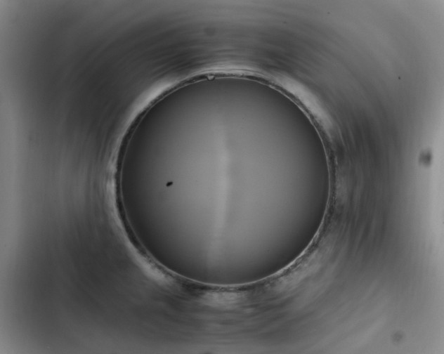 X0000102841237200808181340