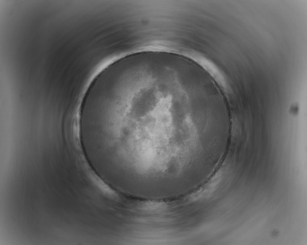 X0000102841238200808181340