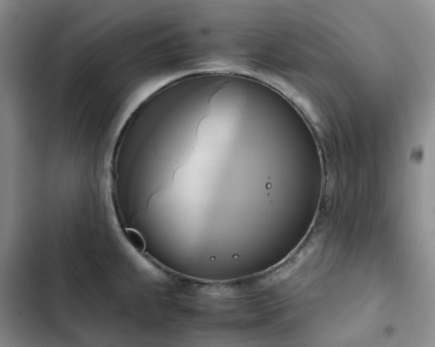 X0000102841239200808181340