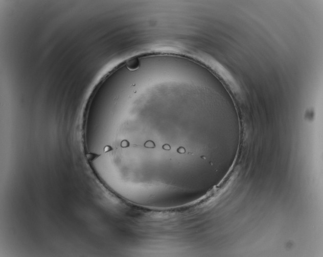 X0000102841240200808181340