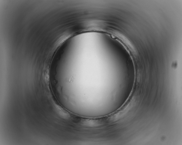 X0000102841241200808181340