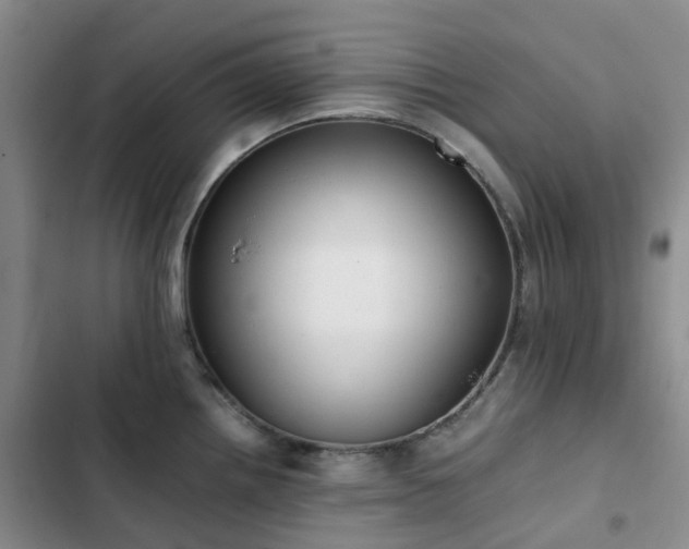 X0000102841242200808181340