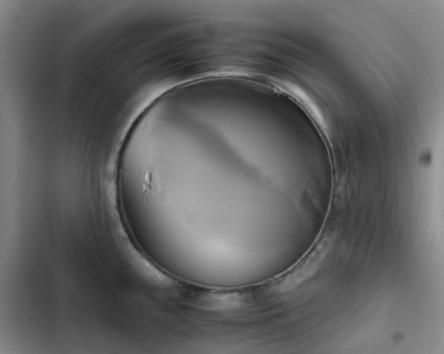 X0000102841243200808181340