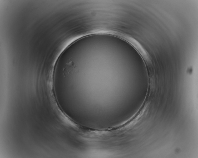 X0000102841244200808181340