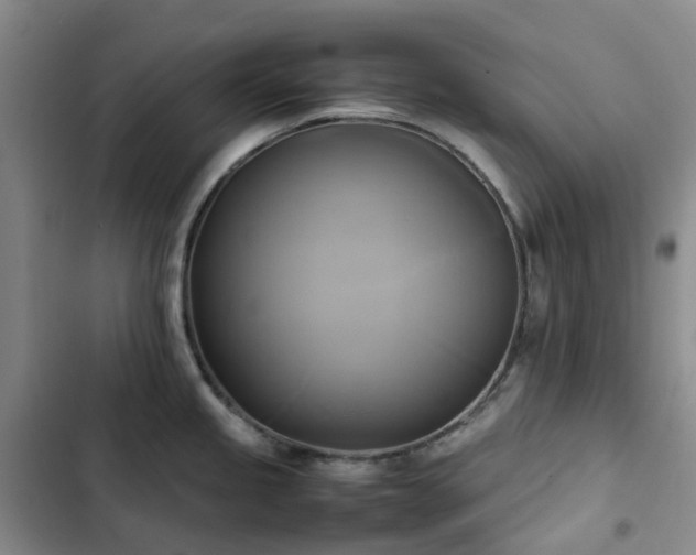 X0000102841245200808181340