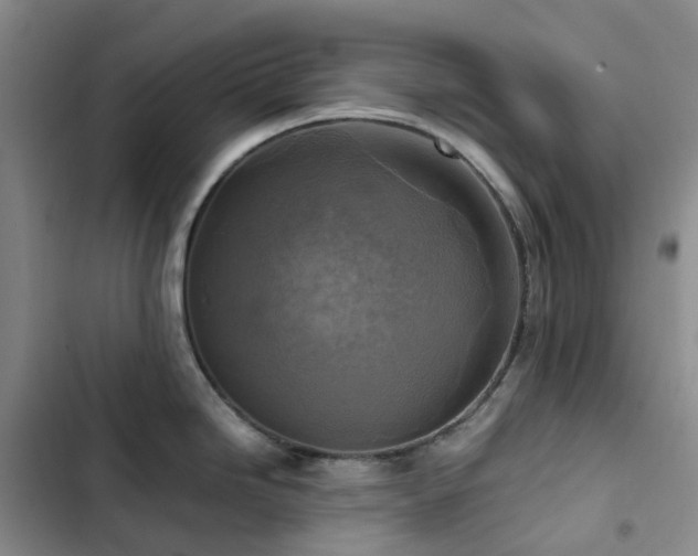 X0000102841246200808181340