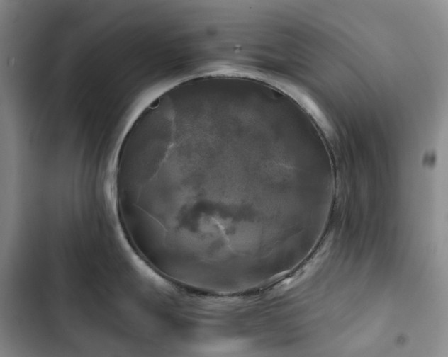 X0000102841247200808181340