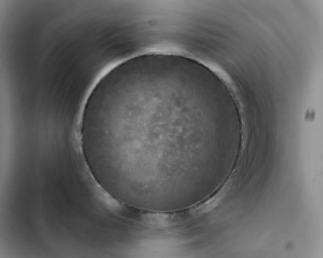 X0000102841248200808181340
