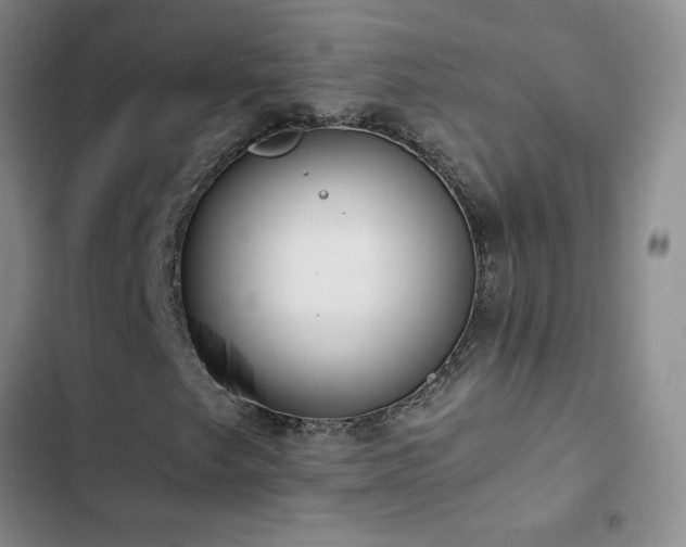 X0000102841249200808181340