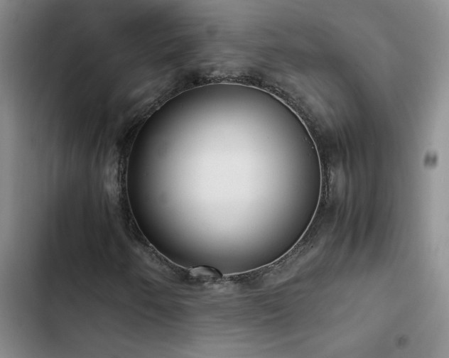 X0000102841250200808181340